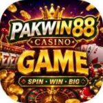 PAKWIN88 Game
