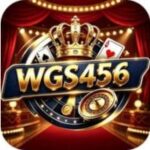 WGS456 Game