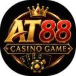 AT88 Game