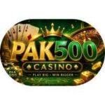 PAK500 Game