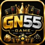 GN55 Game