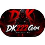 DK222 Game