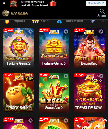 WGS456Game